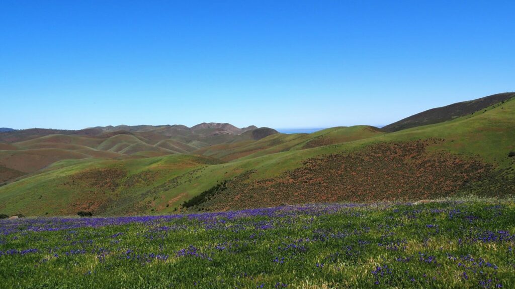 Near Wilmington, Heysen Trail