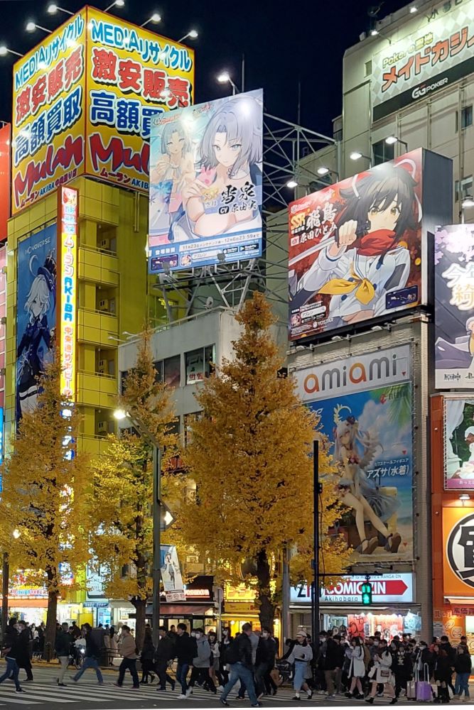 Nighttime lights in Tokyo Akihabara electric town