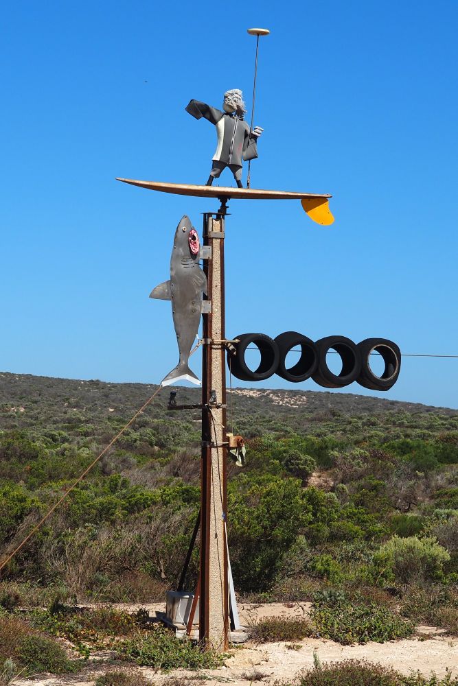 Resilient shark attack humour, Elliston, South Australia