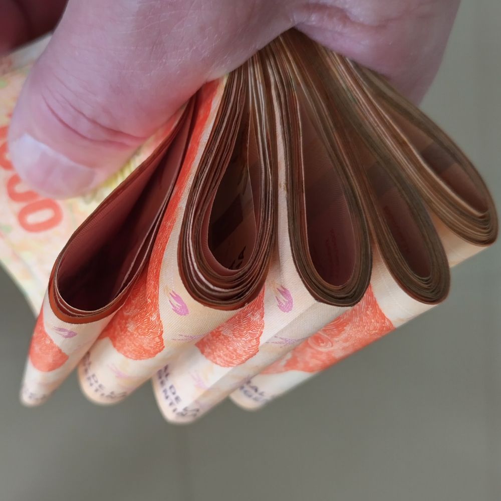 A hand holding many Argentina dollars